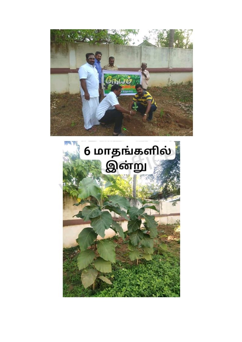 Neyam Foundation gallery photo 15